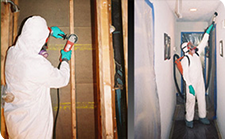 Mold Remediation in Marin, CA